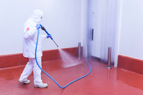 Best Rust Removal  in Emmett, ID
